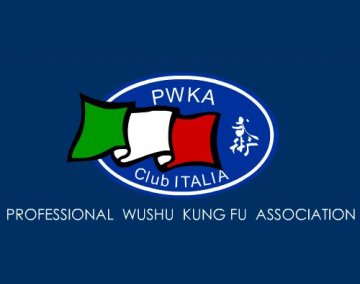 Professional Wushu Kung Fu Association Italia