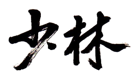 Shaolin Kung Fu